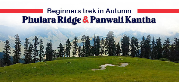 Beginners trek in Autumn – Phulara Ridge & Panwali Kantha
